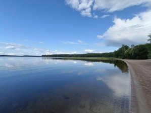 A serene view of Lake Martin's shoreline, showcasing the beauty of the area.
