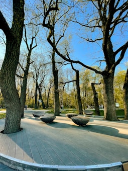 A tranquil park area featuring numerous tall, leafless trees with intricate bark patterns. The ground is covered with a wooden deck, and several uniquely designed, round wooden benches are scattered throughout the space. The background consists of more trees and a few pathways with people walking and cycling.