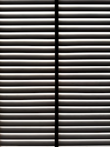 Zebra Blinds