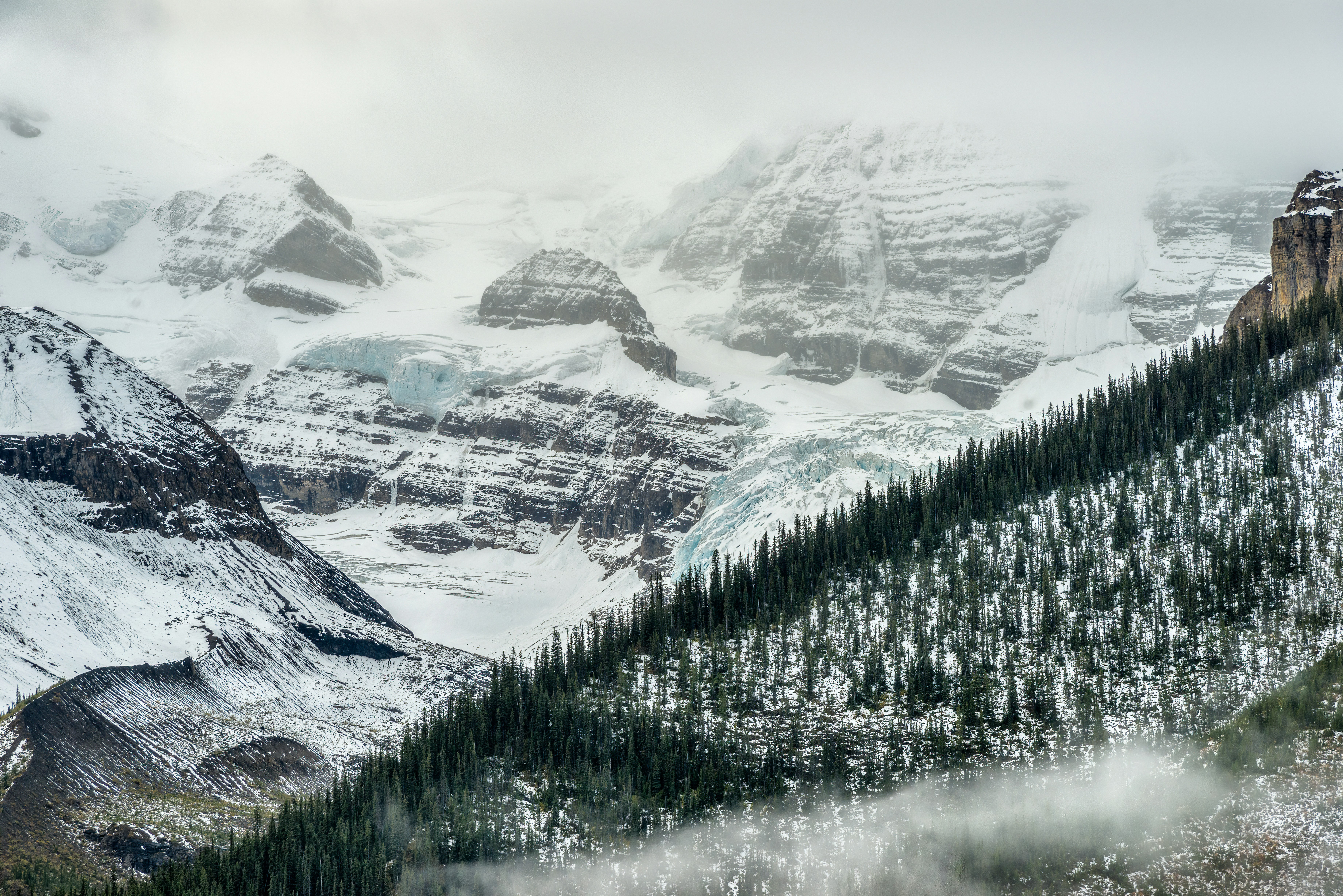 Una catena montuosa innevata con alberi di pino in primo piano