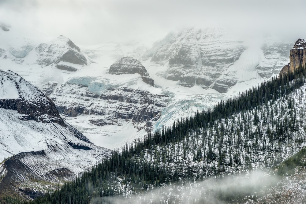 a snow covered mountain range with pine trees in the foreground