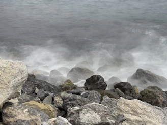 a bunch of rocks that are by the water