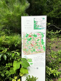 A detailed map is displayed on a standing sign surrounded by lush green foliage. The map seems to outline a project related to a natural area, with various sections marked in bright colors such as green and pink. Tall bushes and trees are visible, creating a serene, natural environment.