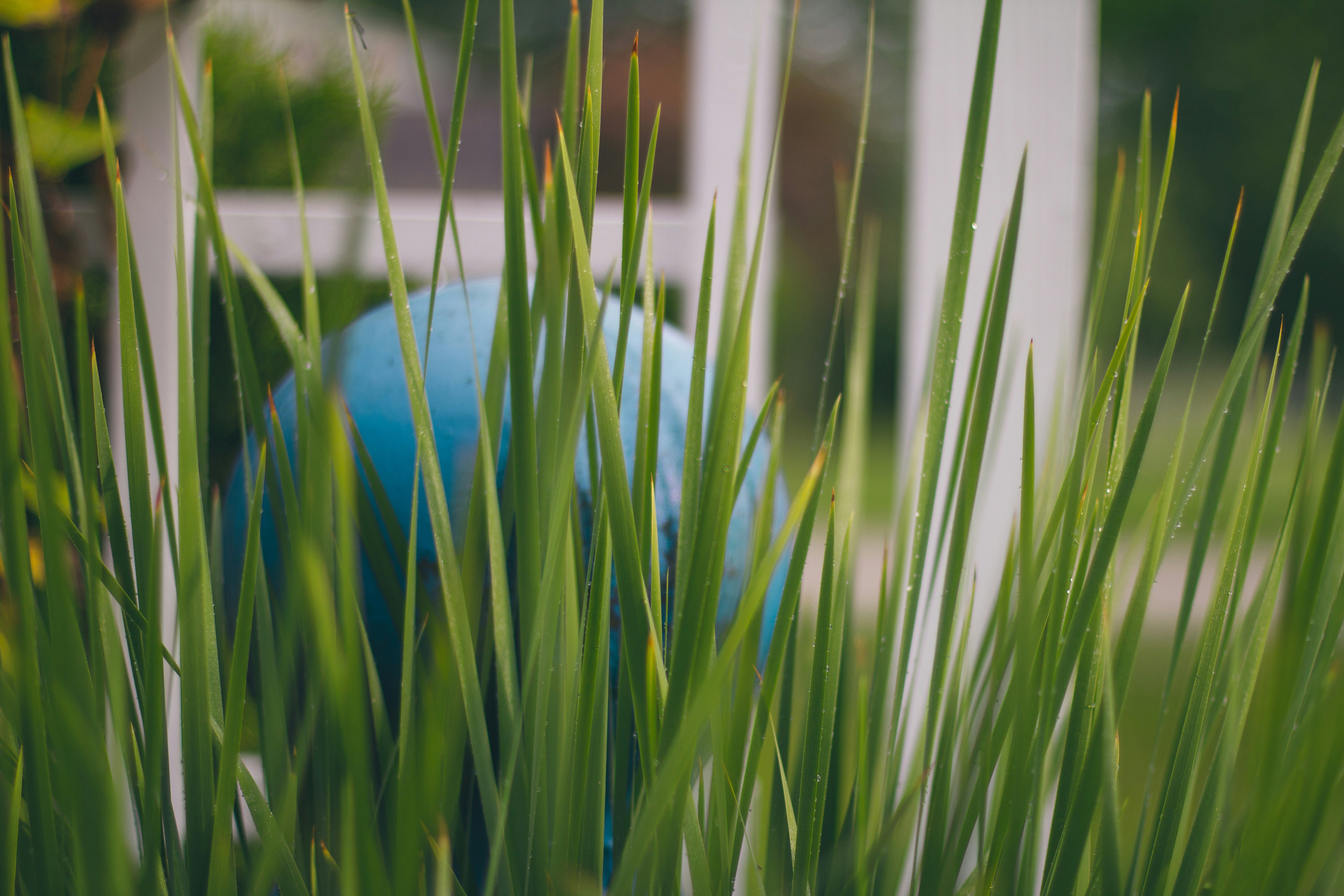 Eco-Friendly Home Swaps That Actually Make a Difference