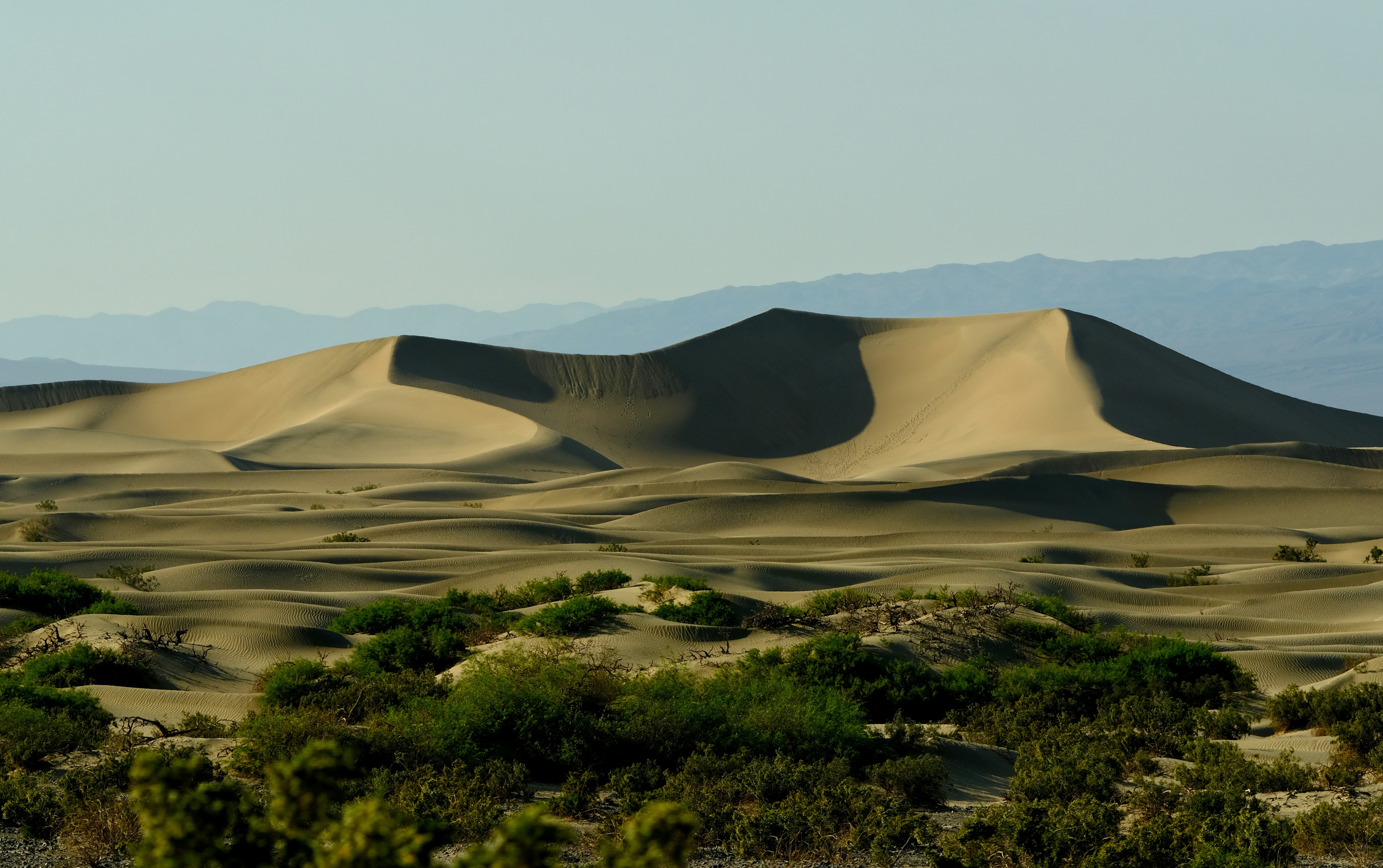 a large group of sand dunes in the desert, Mesquite Flat Sand Dunes Death Valley National Park, California.