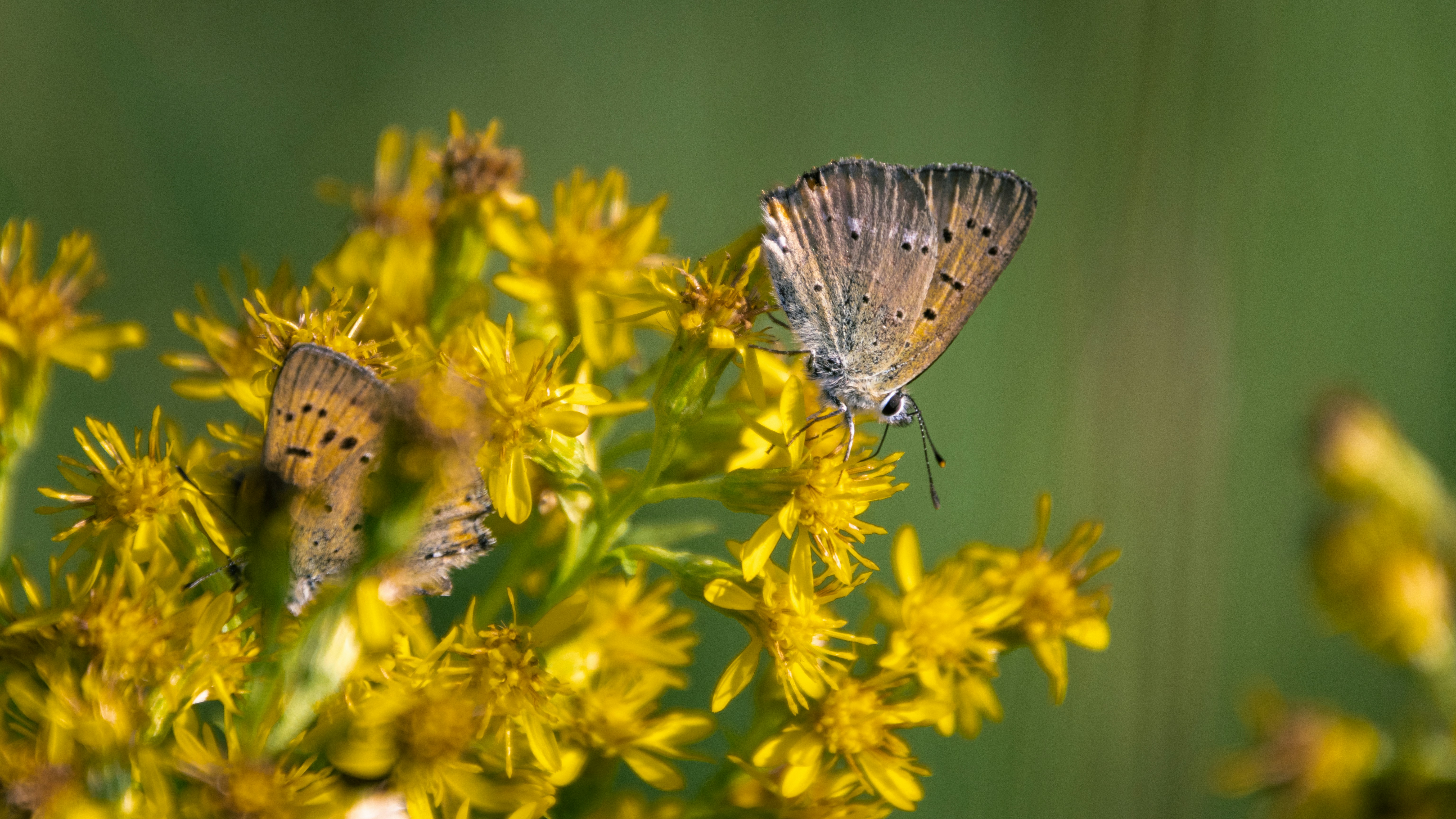 Photo by juho_aleksi_luomala