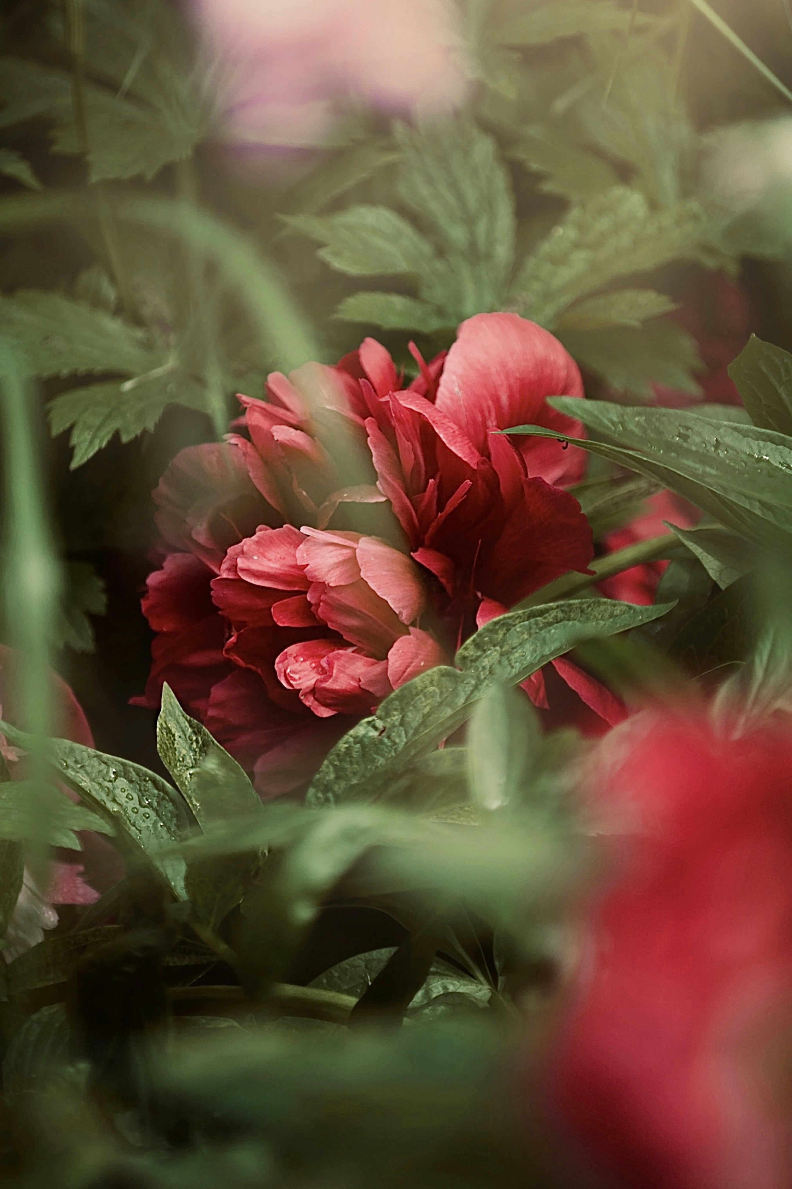 Photo by kristinokarlsen