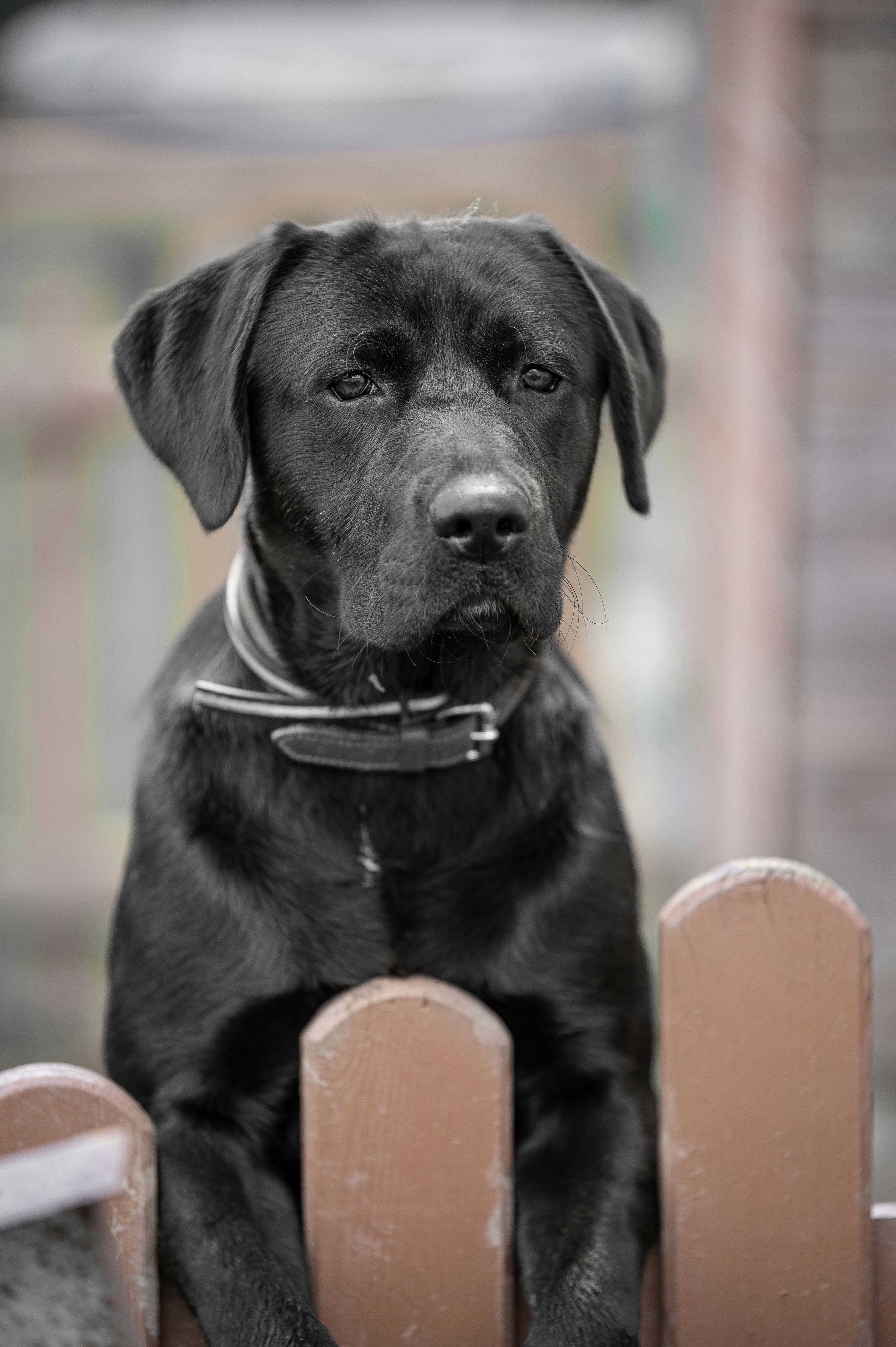 Photo by fotografiedick