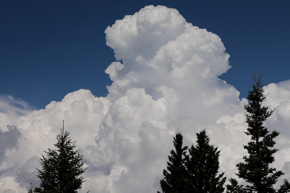 a large cloud is in the sky above some trees