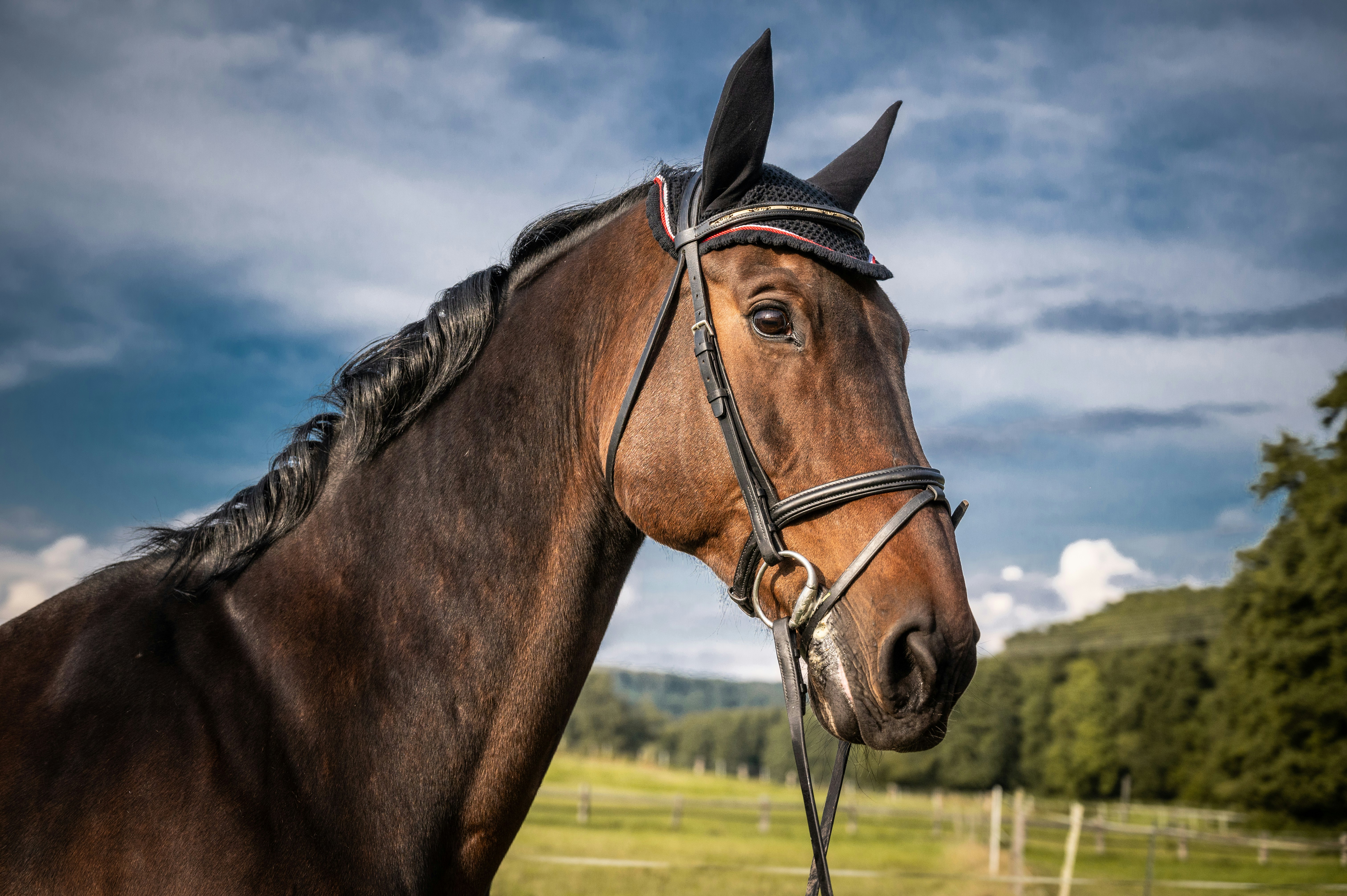 Photo by fotografiedick