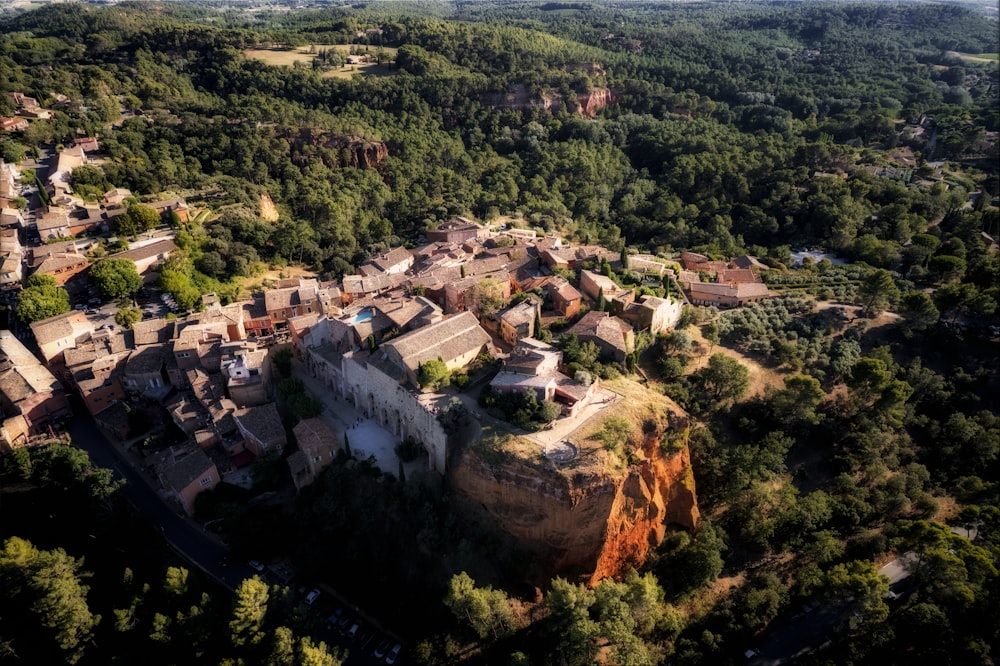 an aerial view of a village surrounded by trees