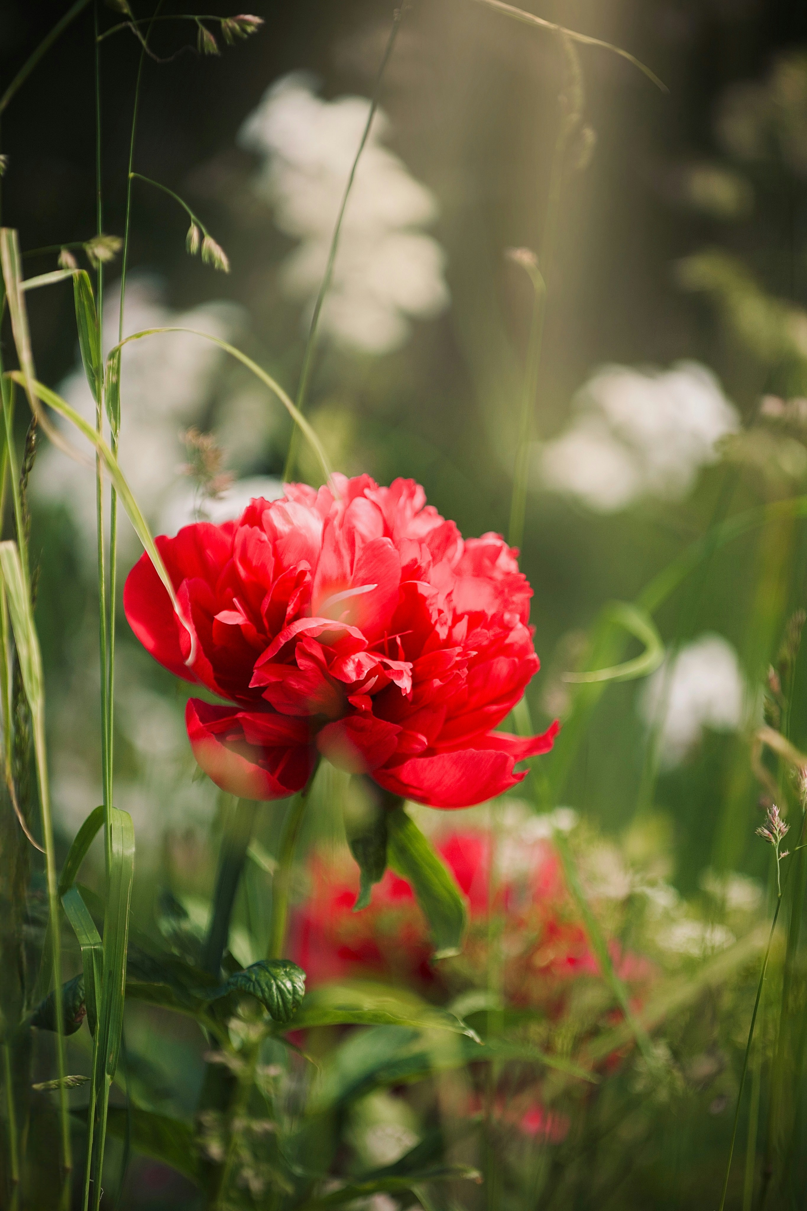 Photo by kristinokarlsen