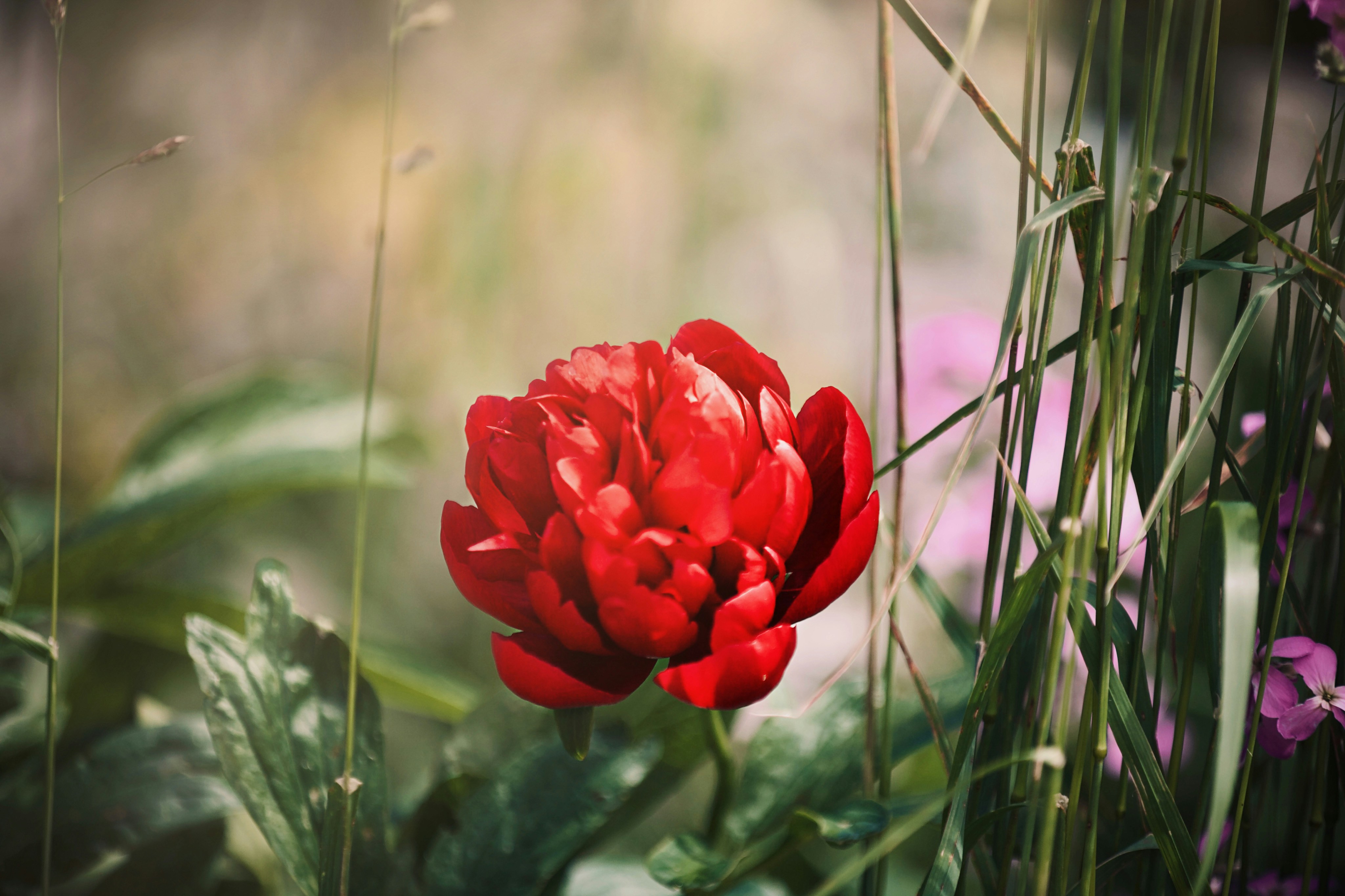 Photo by kristinokarlsen