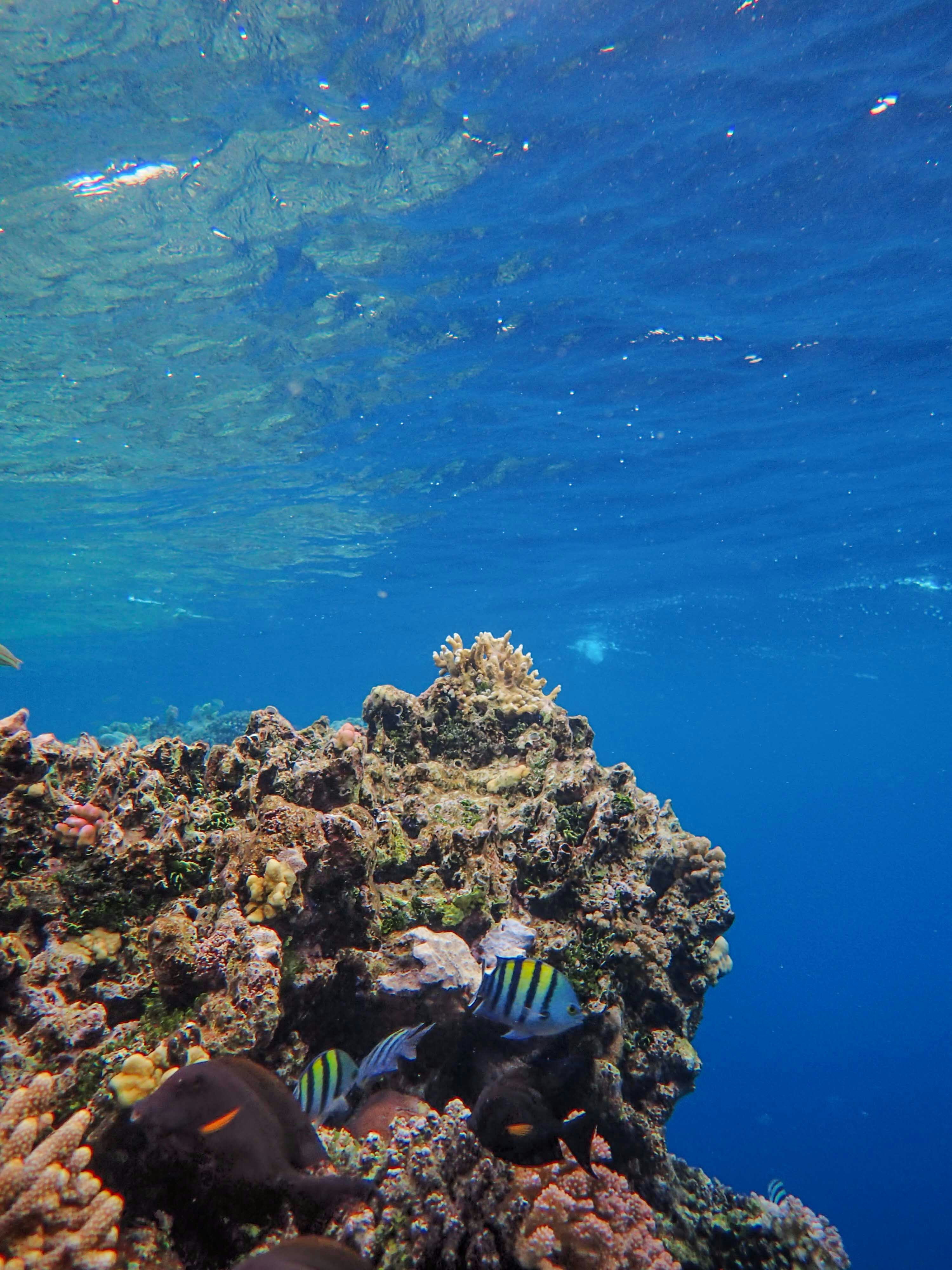 Photo by francesco_ungaro