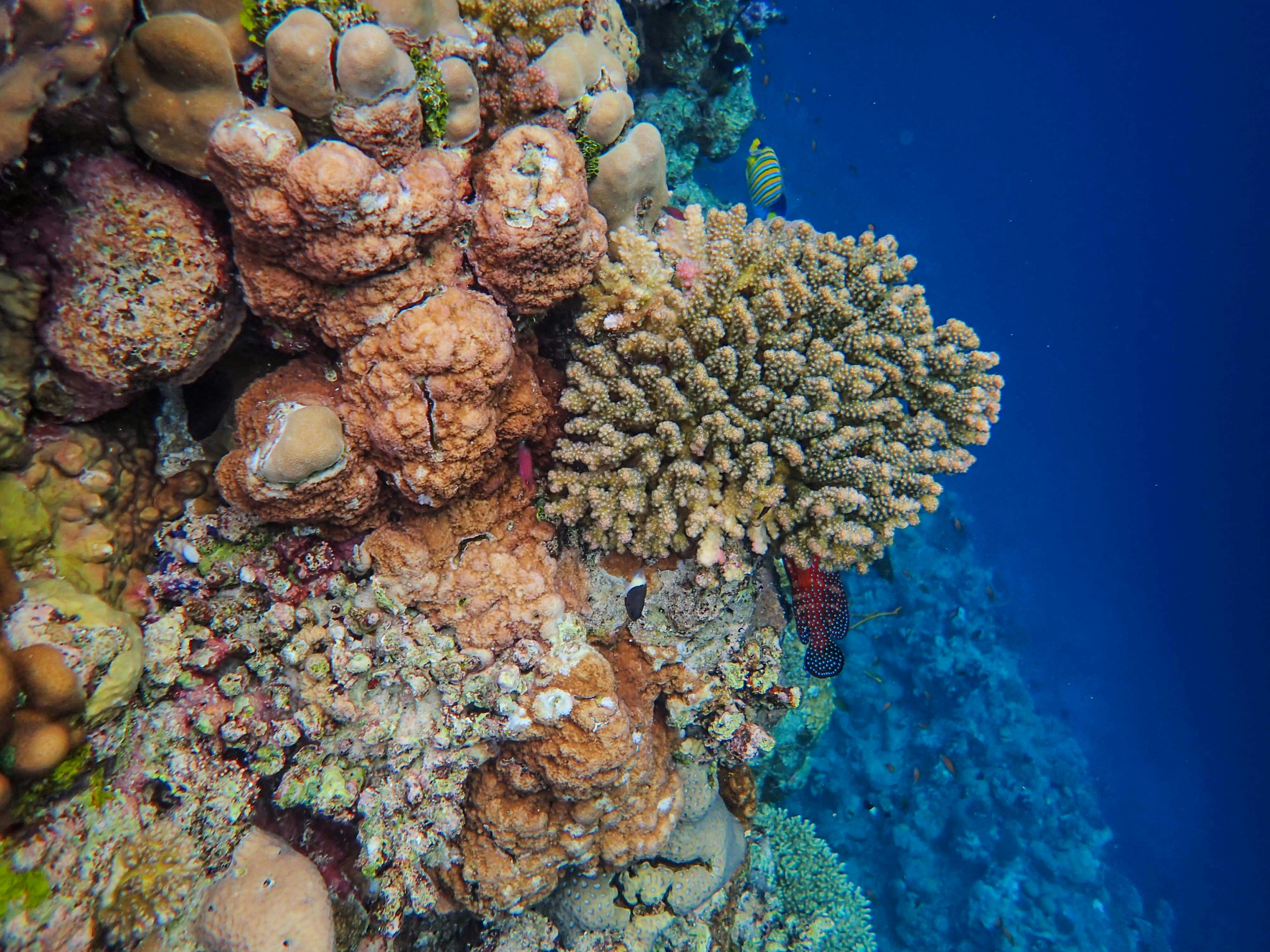 Photo by francesco_ungaro