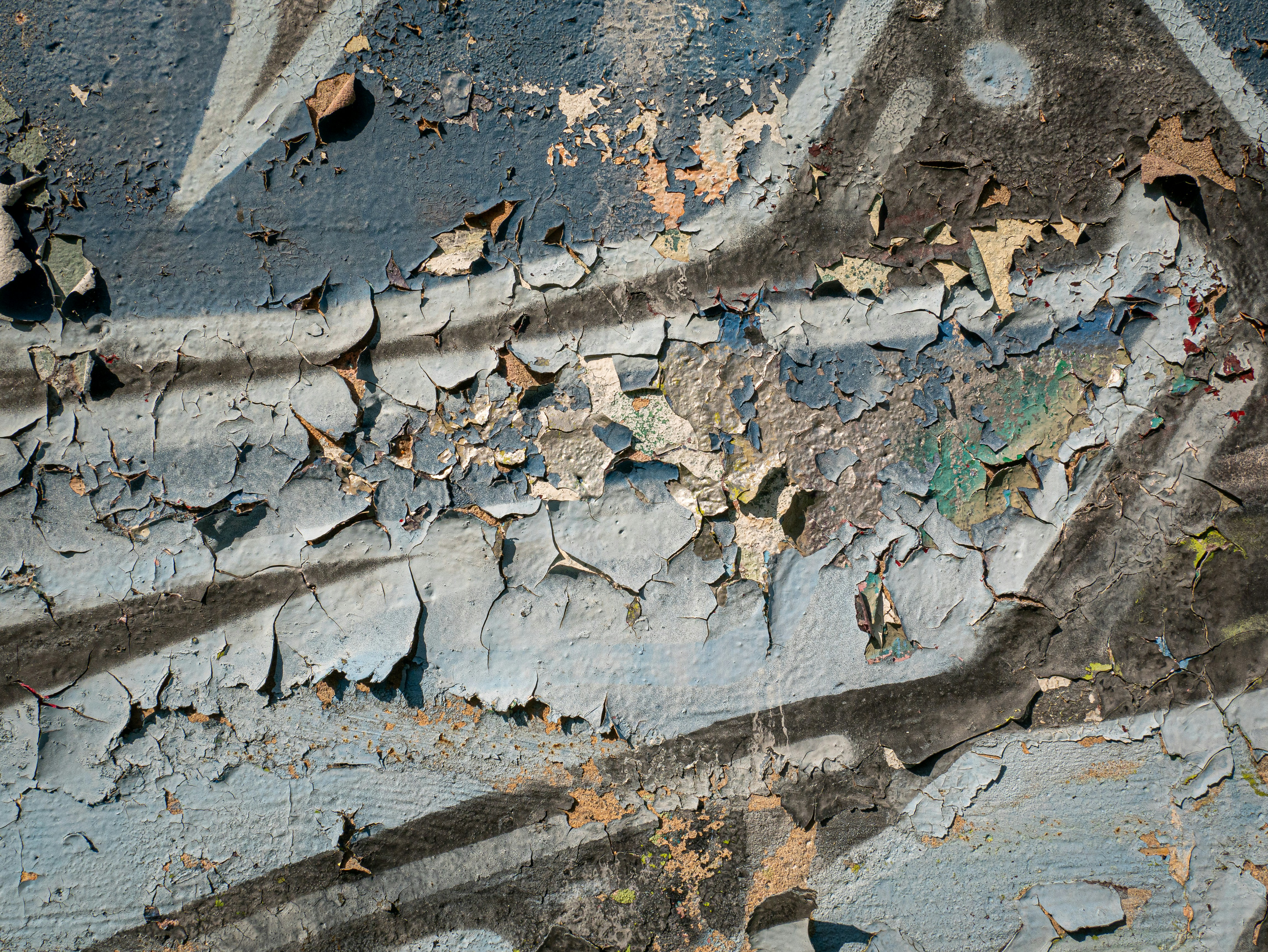 Photo by georgia_vis