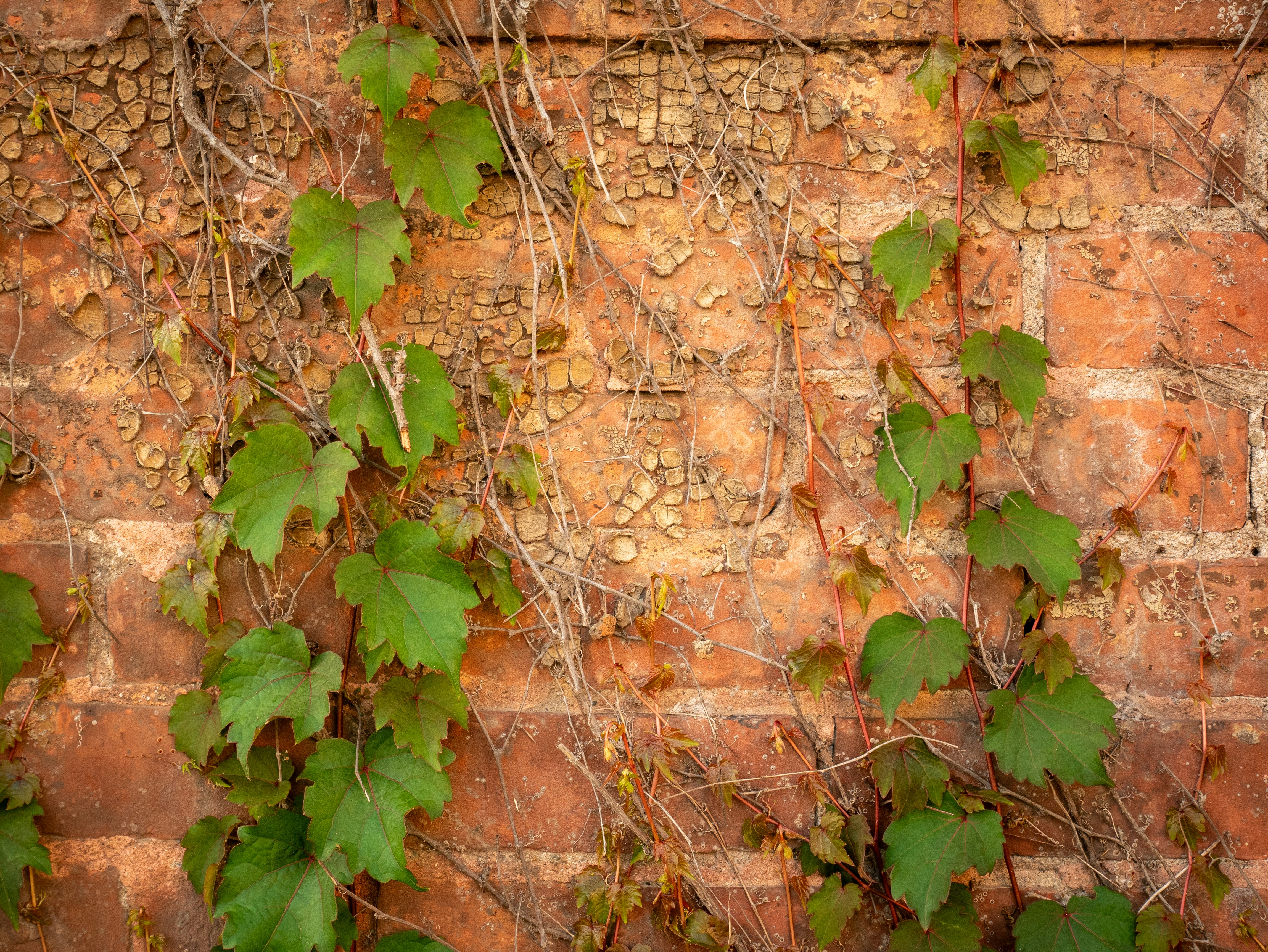 Photo by georgia_vis