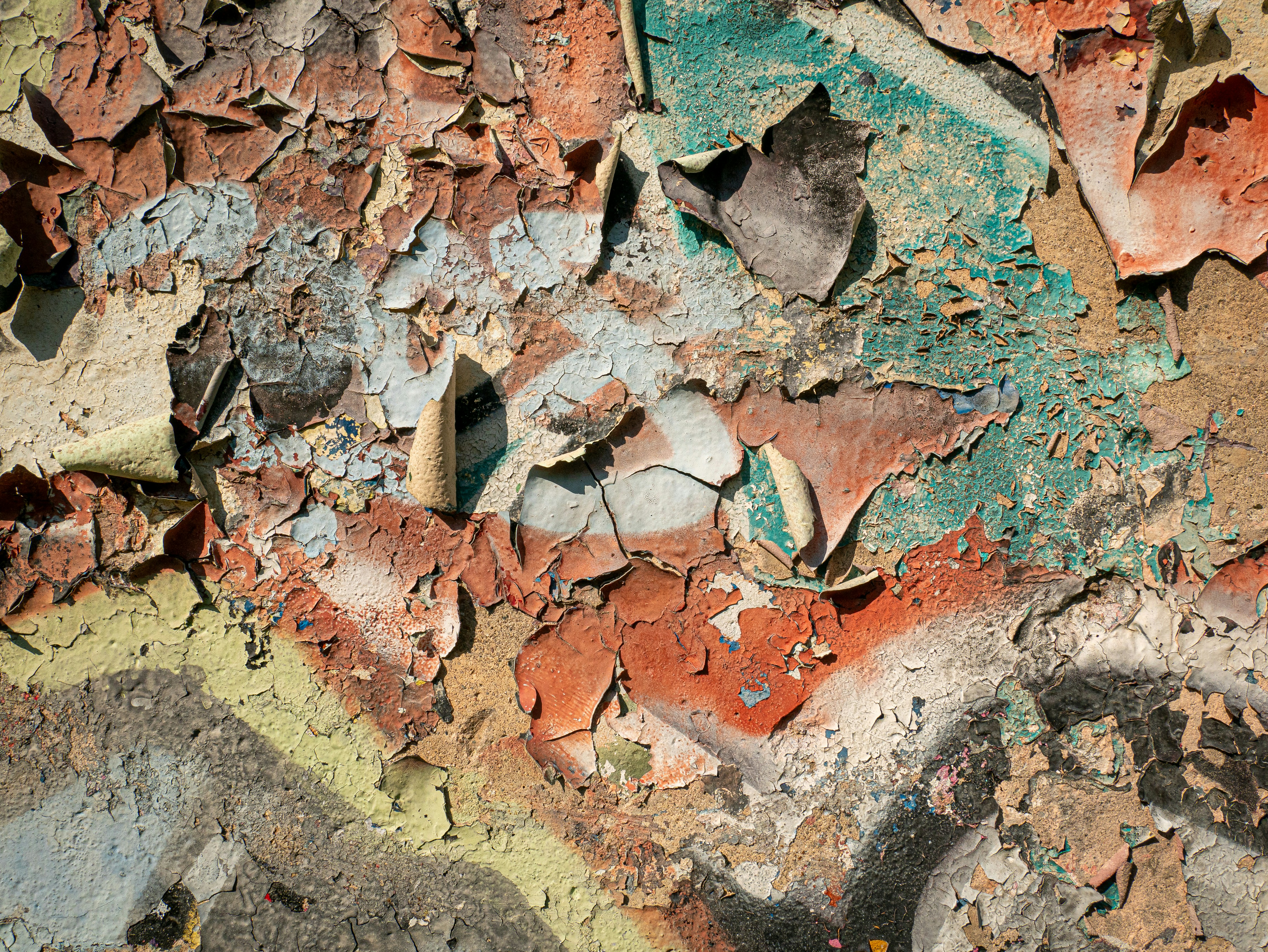 Photo by georgia_vis