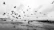 A black and white photograph captures a beach scene with numerous birds in flight. The sky is filled with birds, while a person is visible on the ground, possibly feeding them. The shoreline is slightly visible in the background, with clouds adding to the dramatic atmosphere.