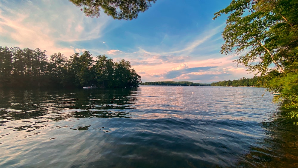 a body of water surrounded by trees and clouds