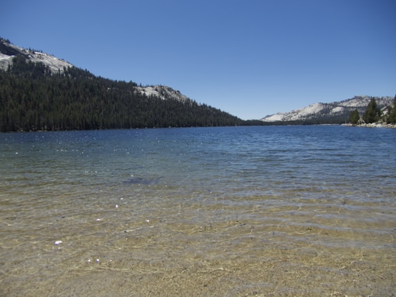 A tranquil lake with crystal-clear water stretches into the distance, surrounded by dense pine forests on both sides. In the background, snow-capped mountains rise under a bright blue sky.