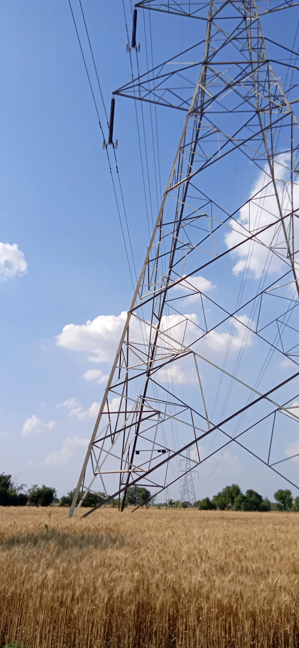 A large metal transmission tower stands in a golden wheat field under a bright blue sky with scattered white clouds. The tower's structure is interlaced with numerous wires stretching into the distance. Lush green trees are visible on the horizon.