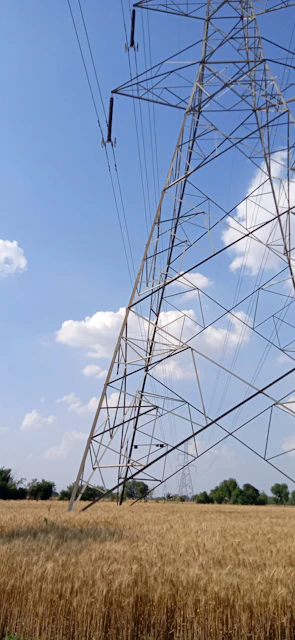 A large metal transmission tower stands in a golden wheat field under a bright blue sky with scattered white clouds. The tower's structure is interlaced with numerous wires stretching into the distance. Lush green trees are visible on the horizon.