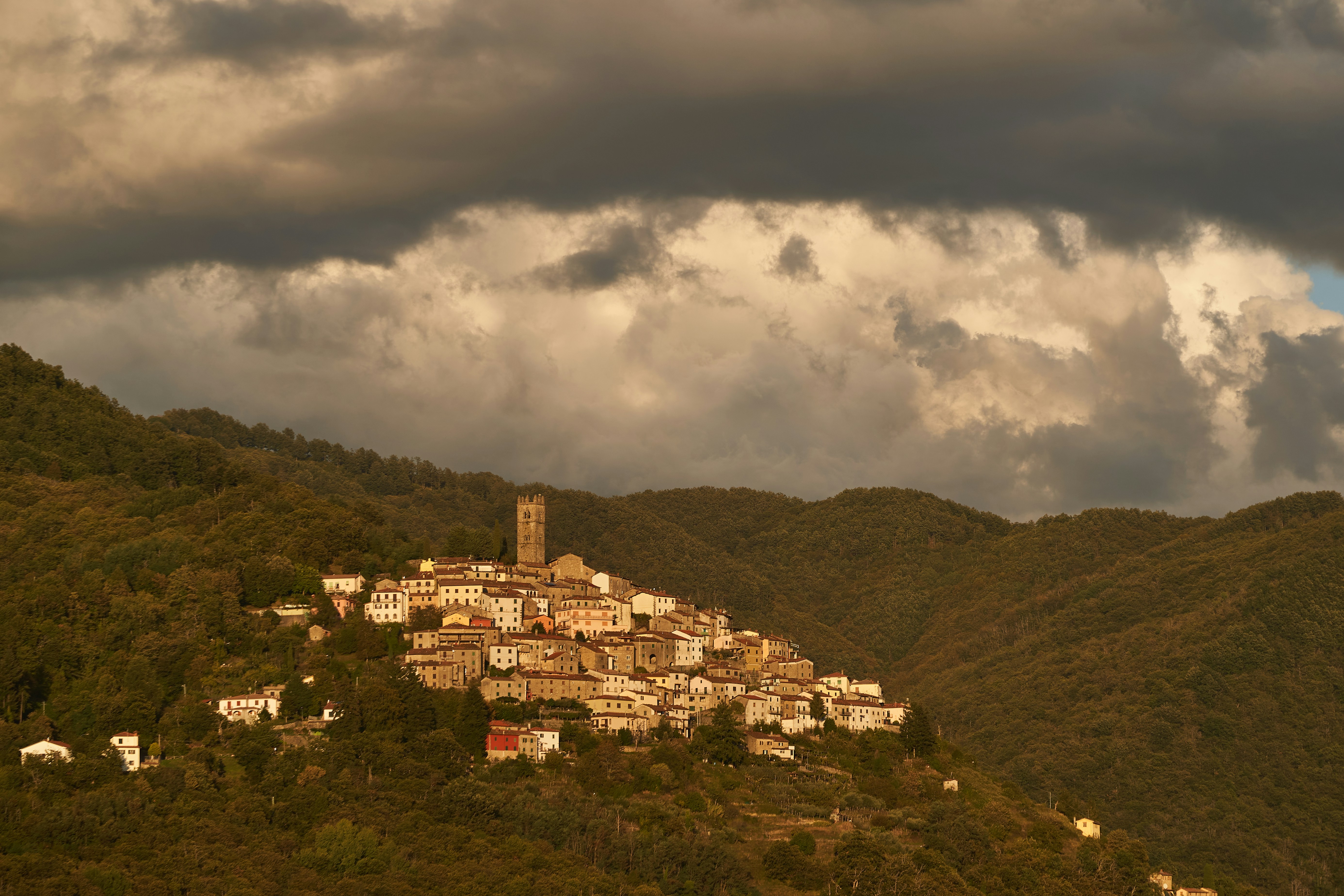 Photo by wolfgang_hasselmann