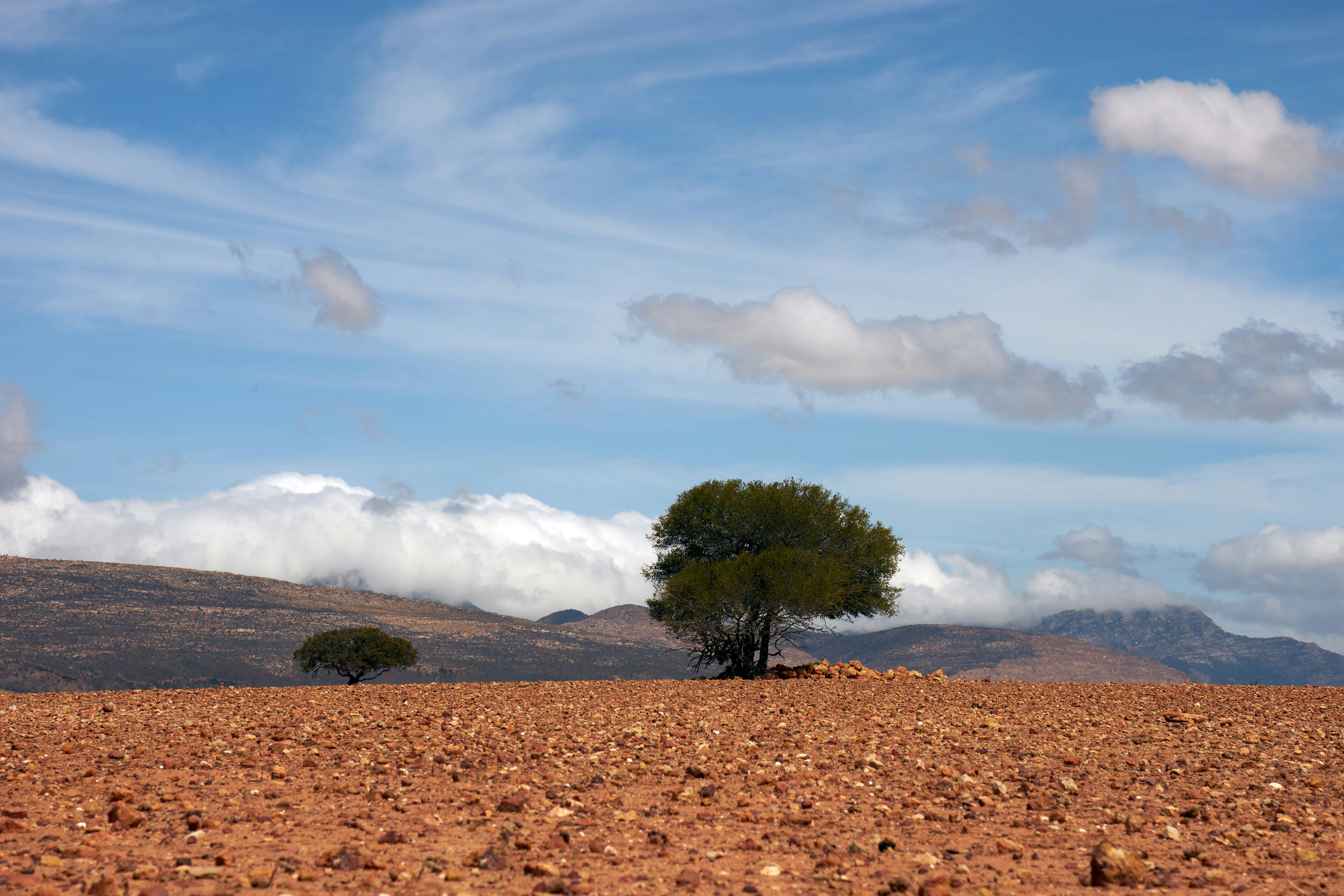 Photo by wolfgang_hasselmann