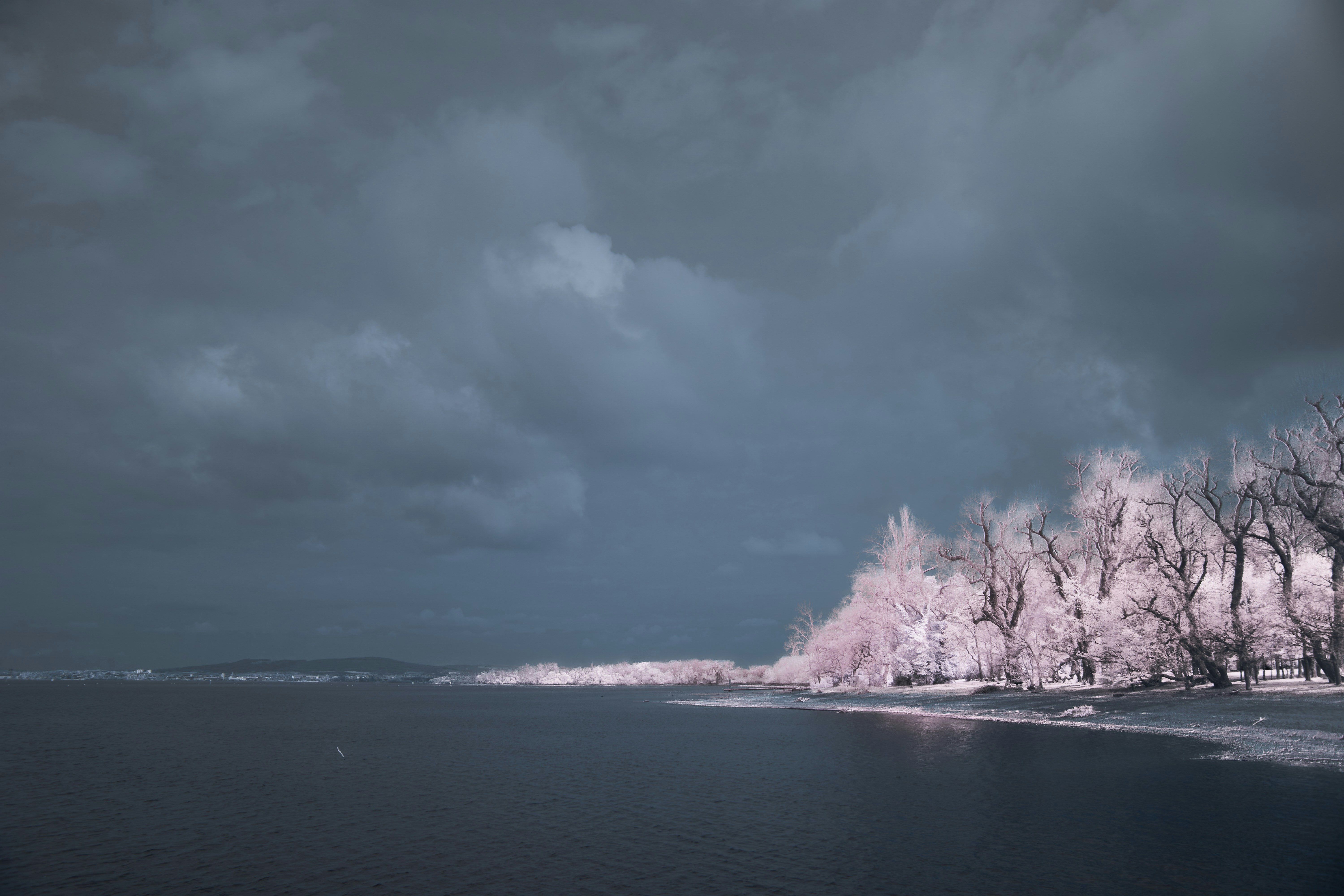 a body of water surrounded by trees under a cloudy sky