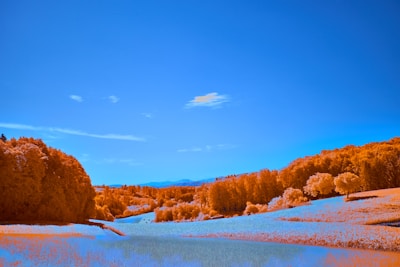 A vibrant photo showcasing enhanced colors and corrected lighting on a landscape image.