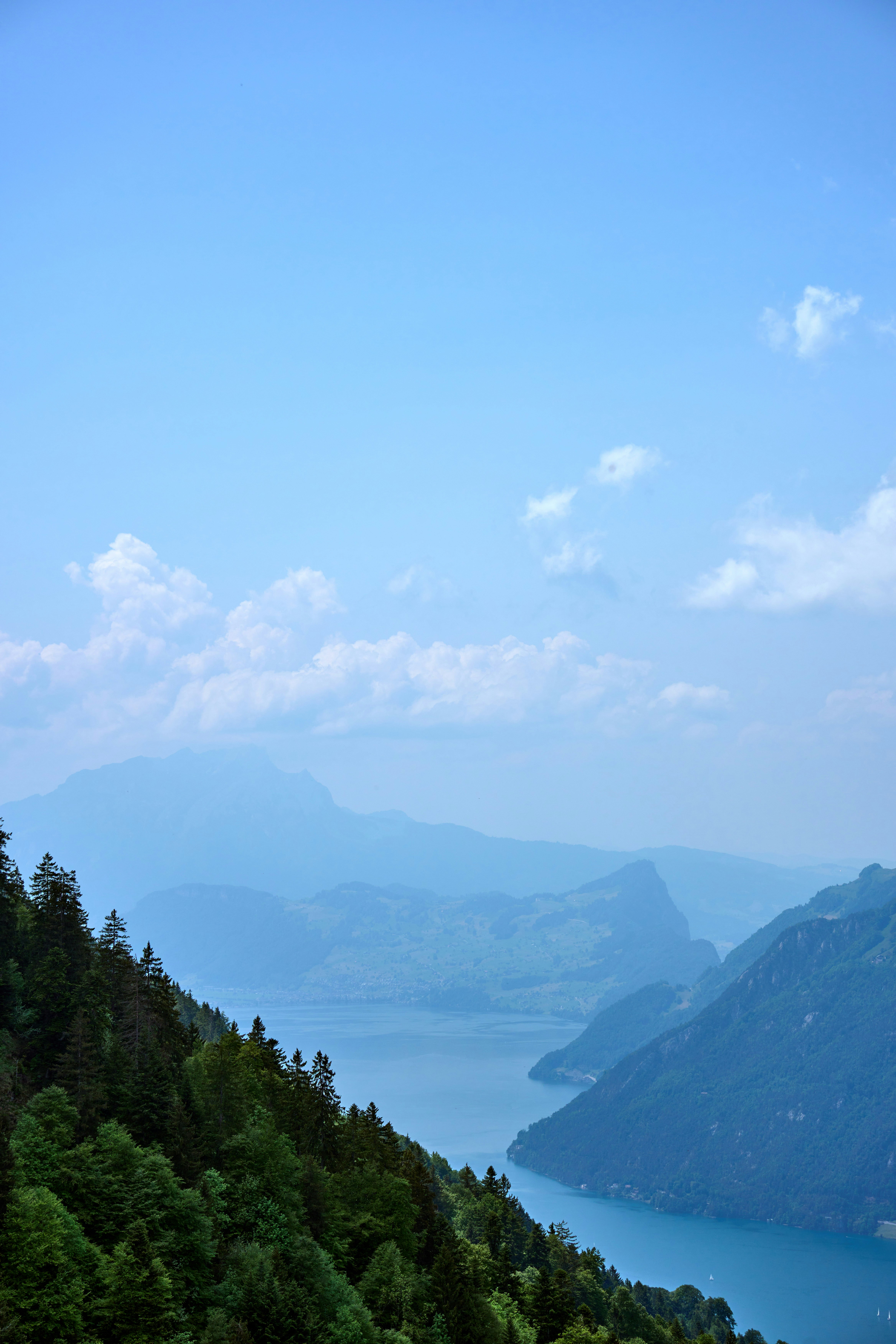 Photo by wolfgang_hasselmann