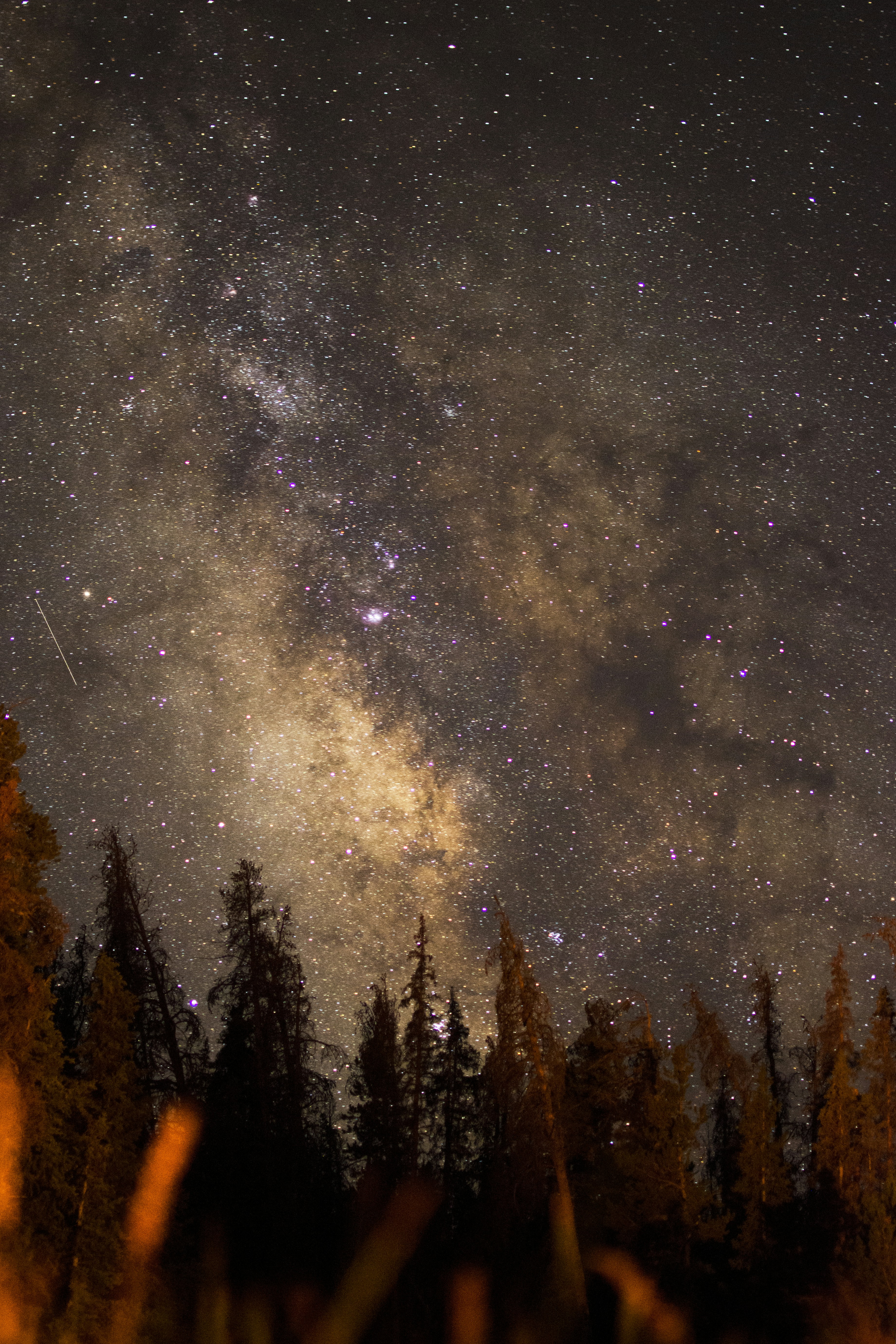 Photo by alexmoliski