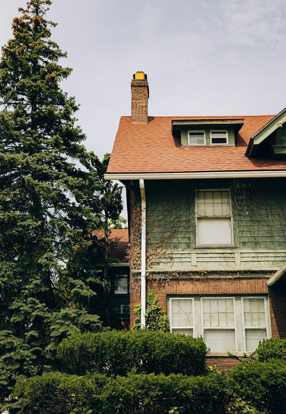 a house with a red roof and a tree in front of it