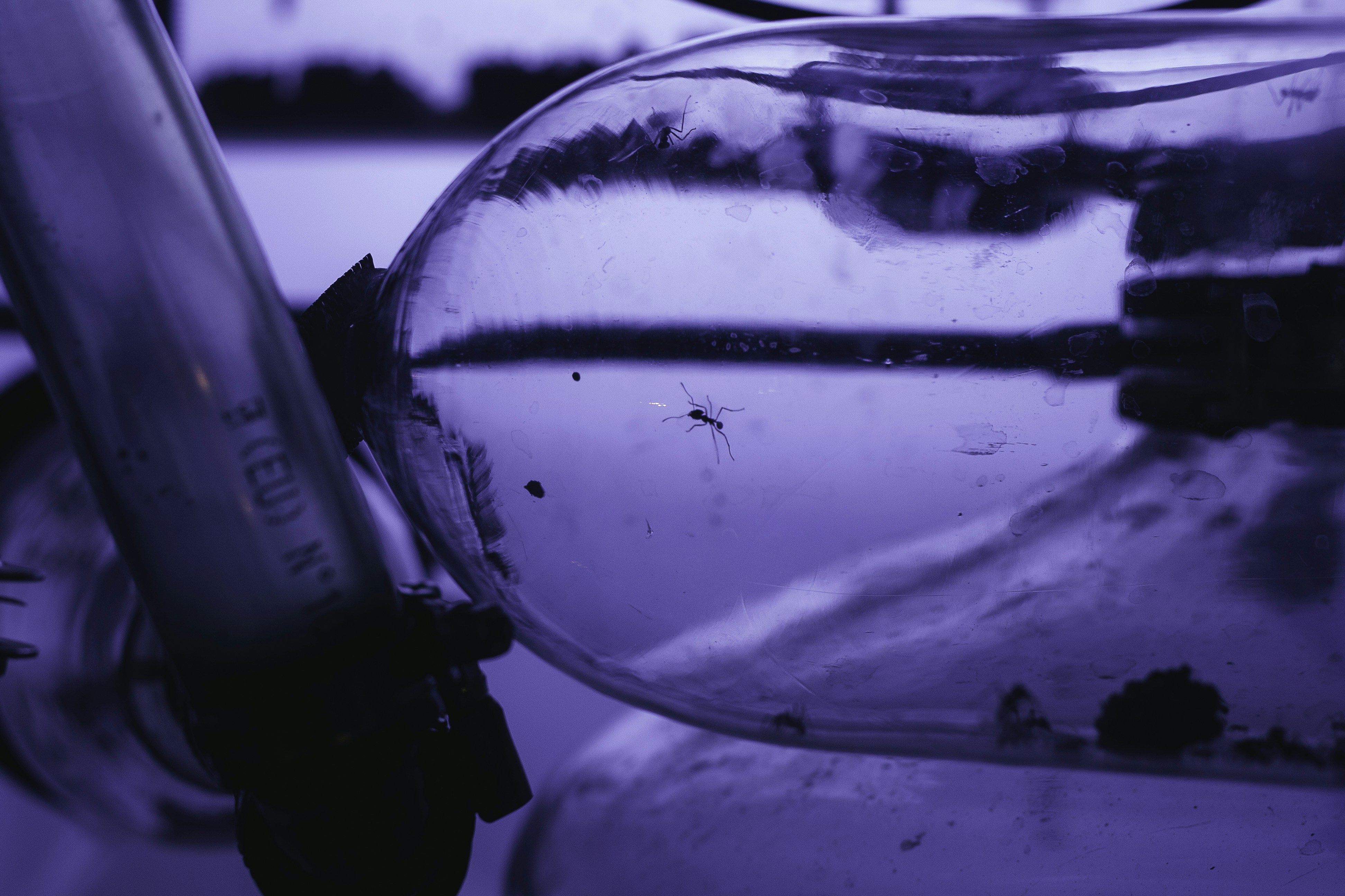 A Close Up Of A Glass Container With A Toothbrush In It Photo Free