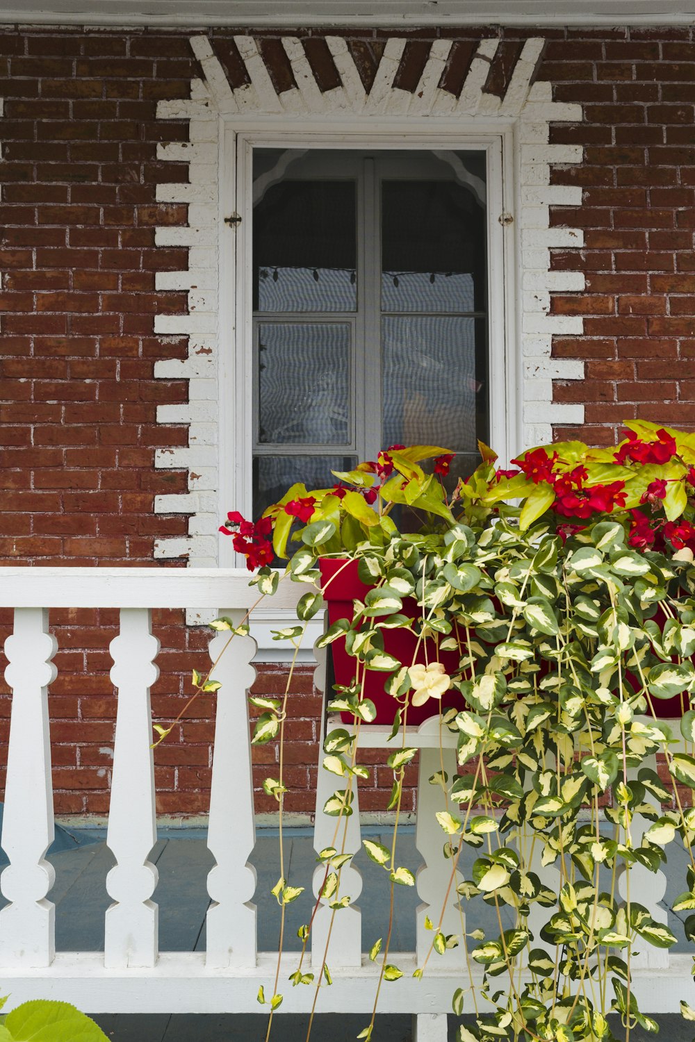 a potted plant sitting on a porch next to a window