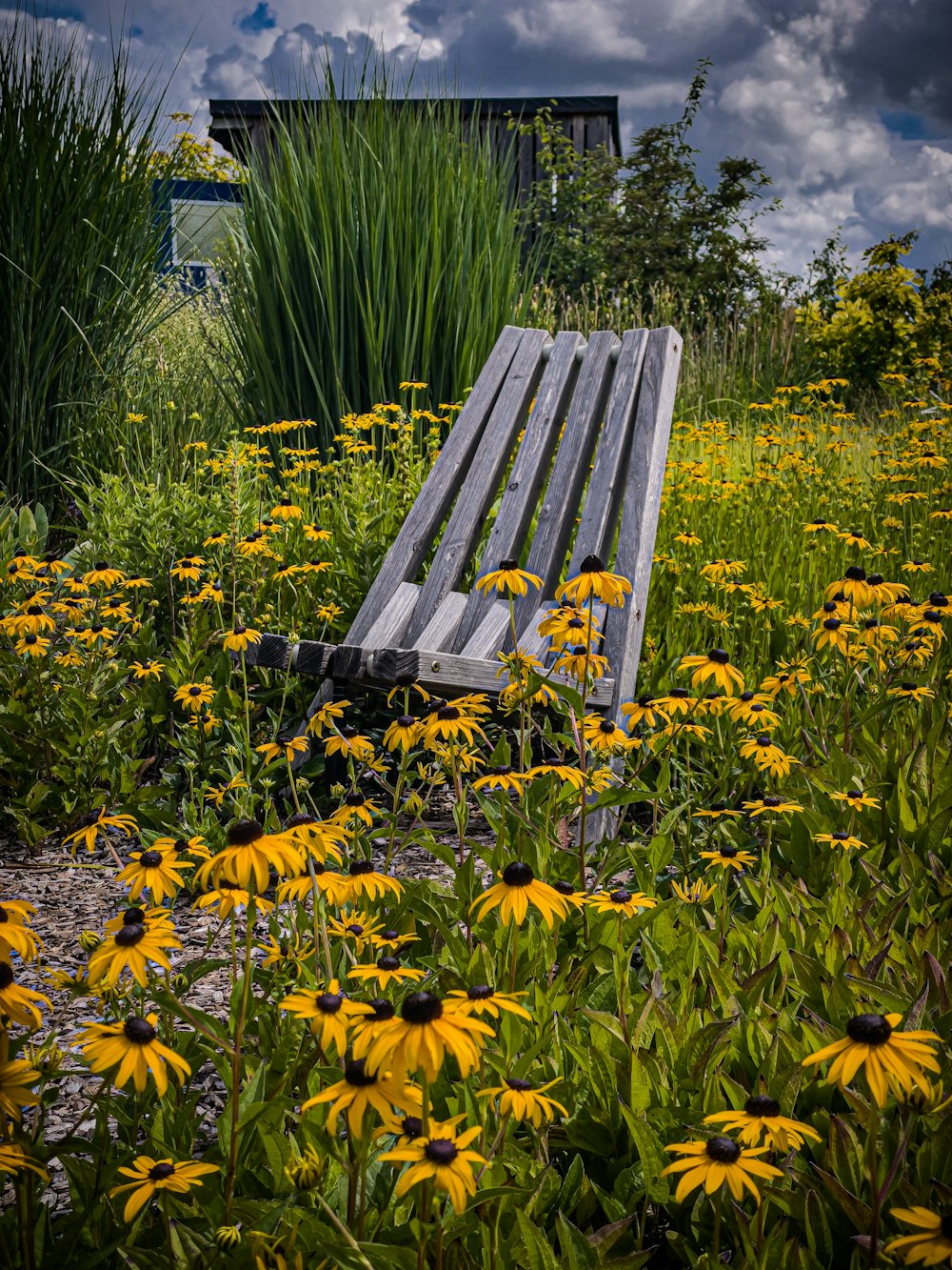 a wooden bench sitting in the middle of a field of flowers