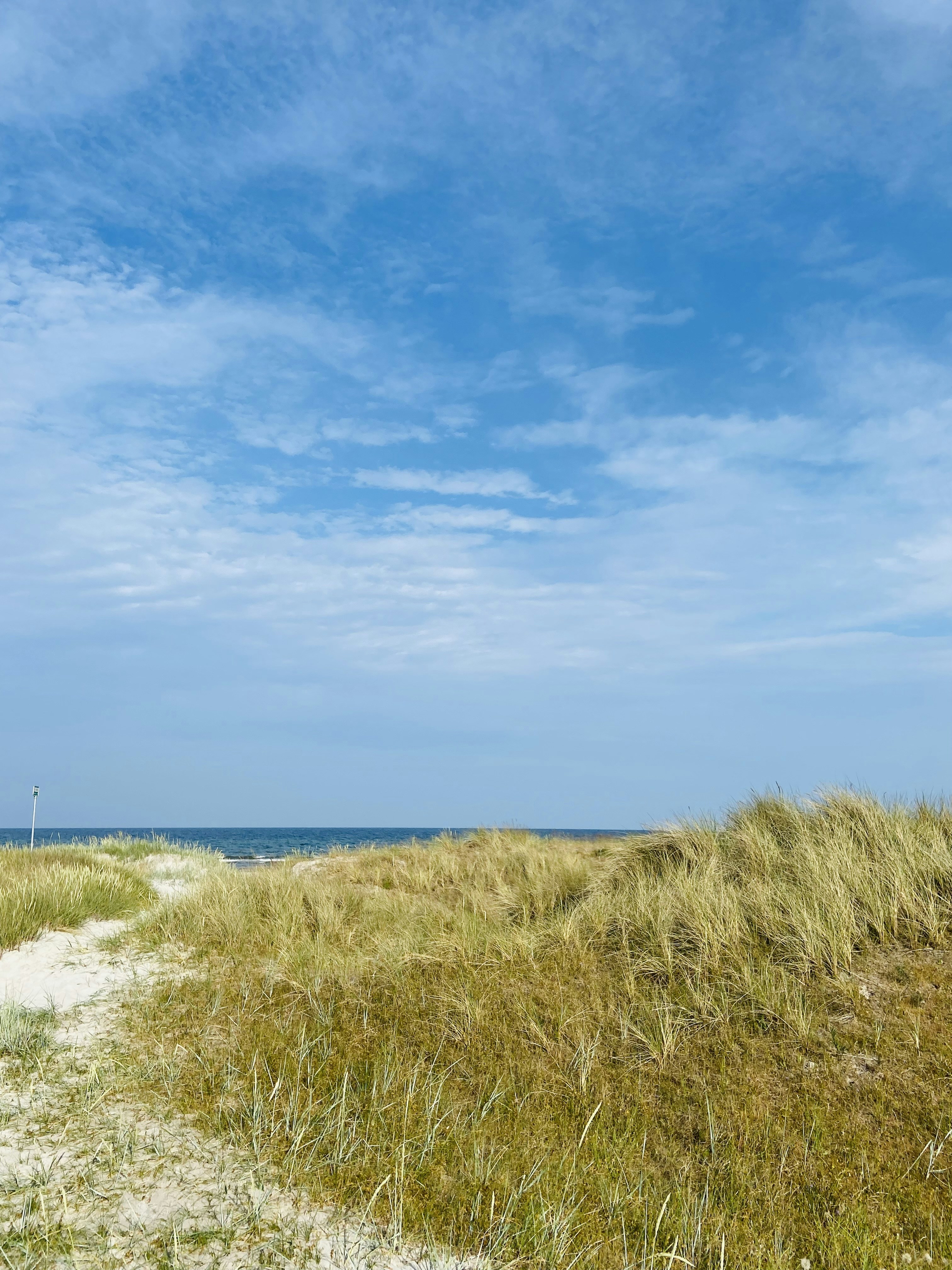 Photo by jonasfromberlin