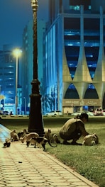 Technician setting traps for rodents in a residential area at night.