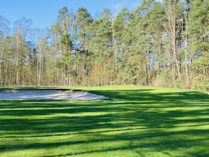 A lush, well-maintained golf green under a clear blue sky.