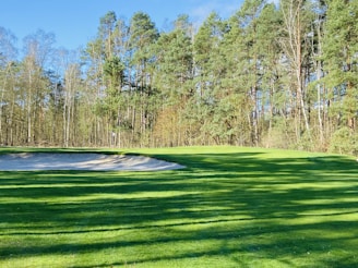 A well-maintained golf course with vibrant green grass, bordered by a sand bunker and surrounded by dense, tall trees under a clear blue sky.