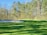 A well-maintained golf course with vibrant green grass, bordered by a sand bunker and surrounded by dense, tall trees under a clear blue sky.