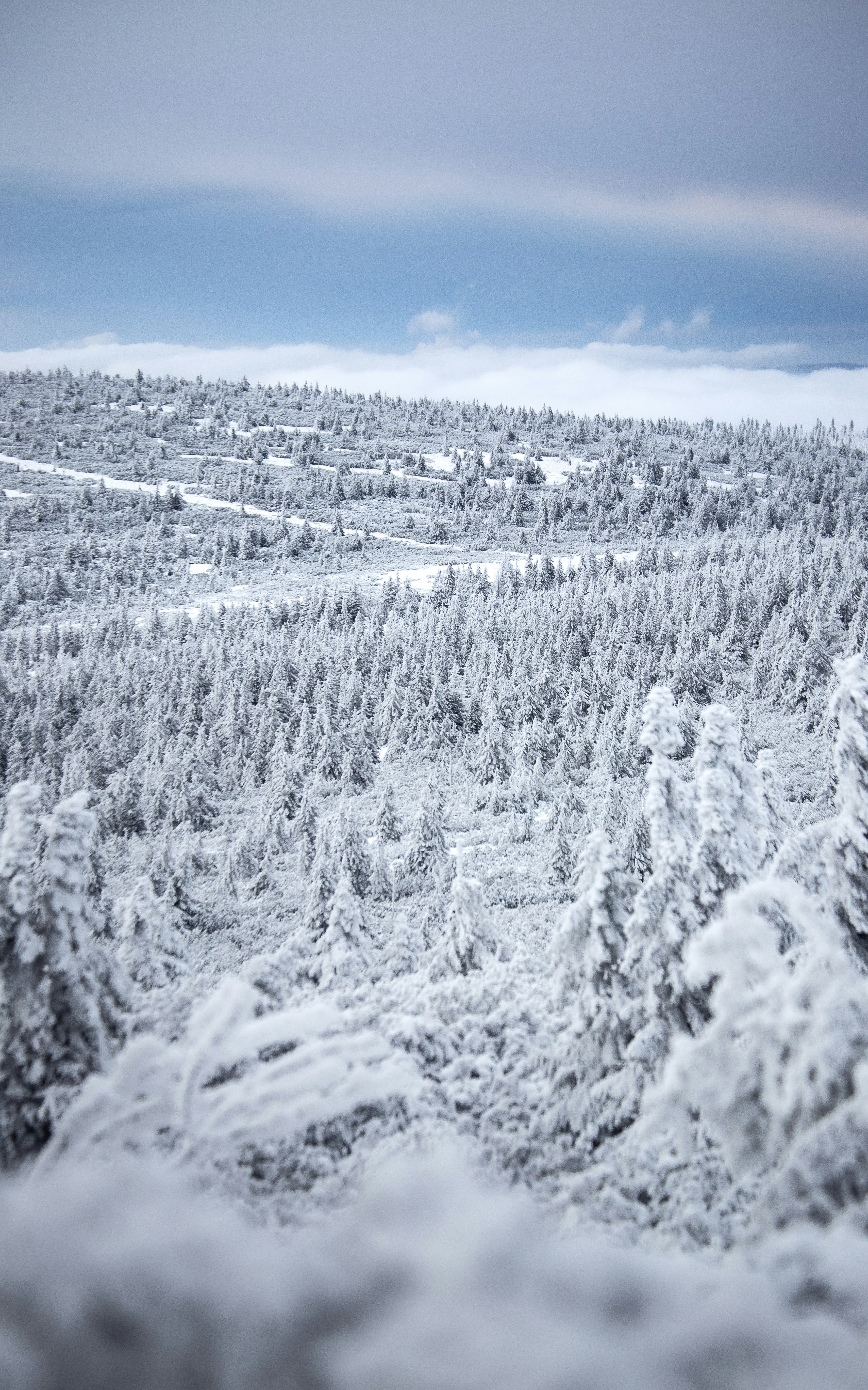 Photo by marekpiwnicki