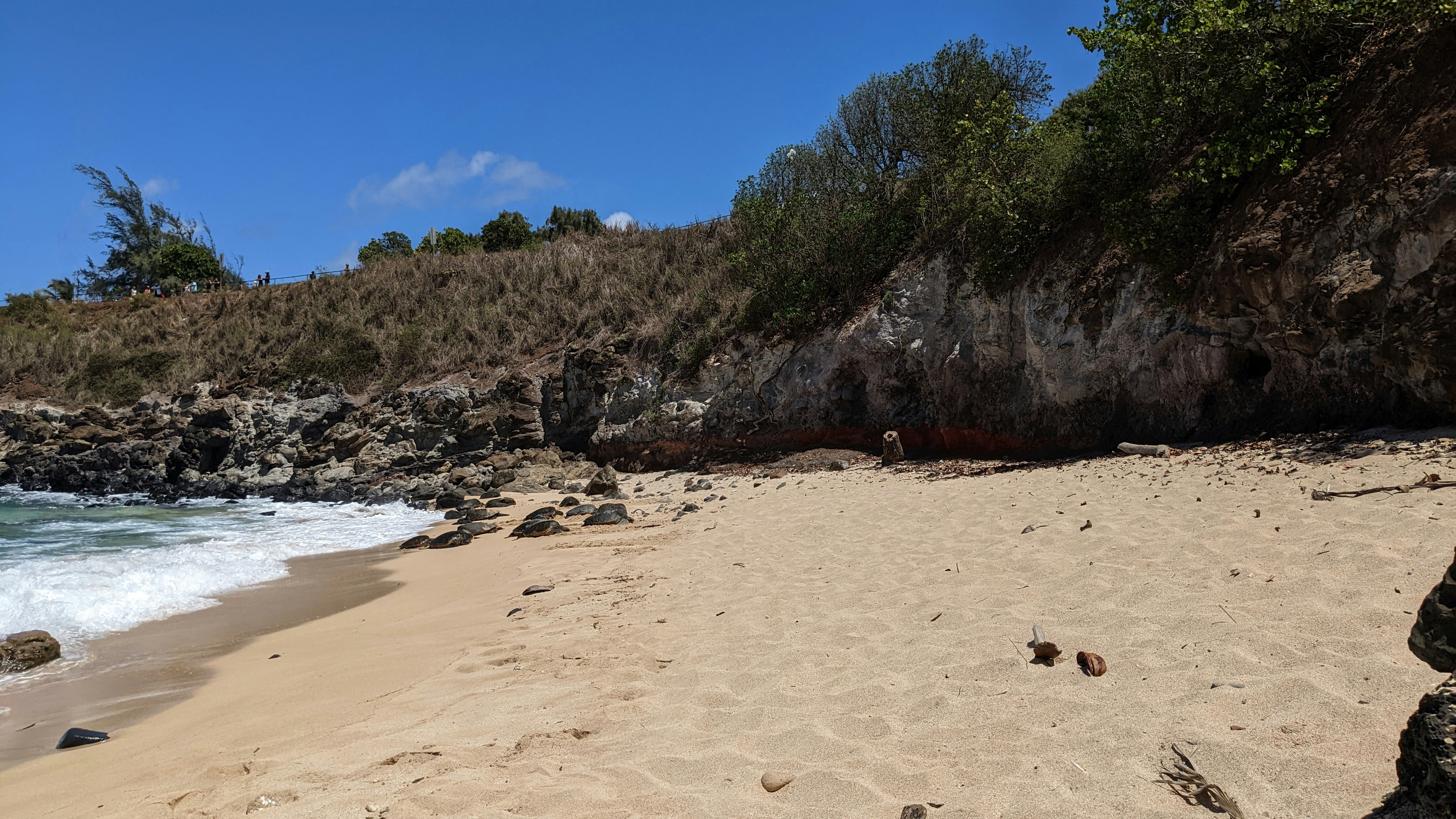 Photo by featurecreep