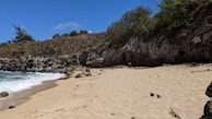 A serene beach scene with golden sand stretching along the shore. Waves gently crash onto the beach from the left side, while a rocky outcrop and lush greenery form a backdrop. The sky is clear and blue, contributing to the peaceful atmosphere.