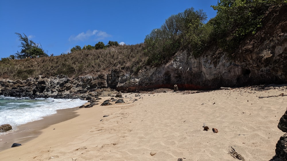 a sandy beach next to a rocky cliff