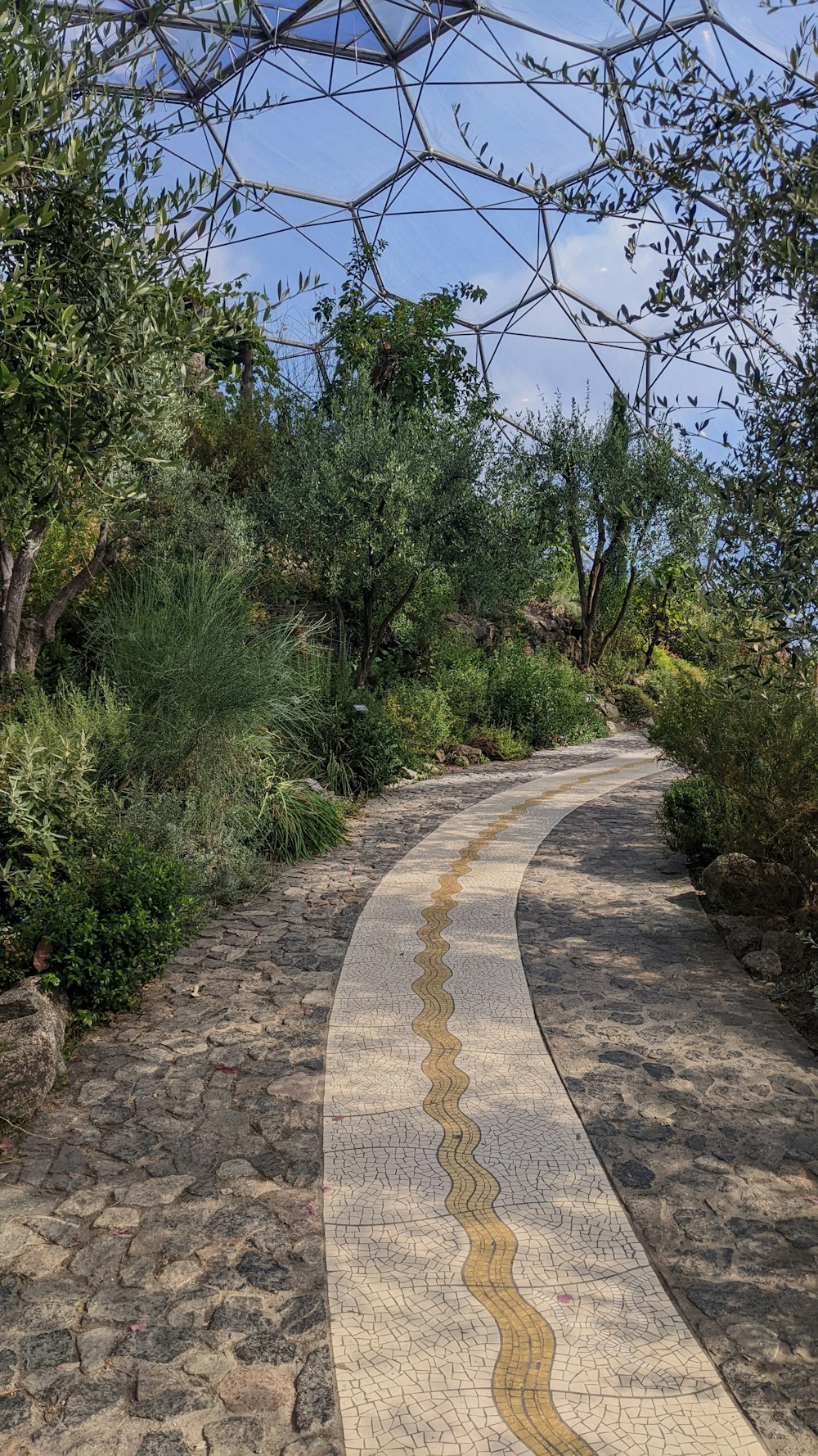 a paved road surrounded by trees and bushes