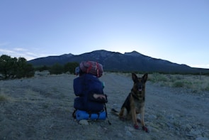 A large backpack with camping gear sits on a rocky landscape at dusk, with a German Shepherd dog sitting beside it. In the background, a mountain range under a clear sky creates a serene, natural setting.