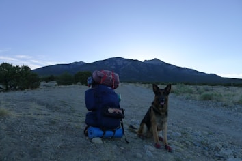 A large backpack with camping gear sits on a rocky landscape at dusk, with a German Shepherd dog sitting beside it. In the background, a mountain range under a clear sky creates a serene, natural setting.