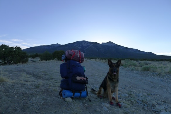 A large backpack with camping gear sits on a rocky landscape at dusk, with a German Shepherd dog sitting beside it. In the background, a mountain range under a clear sky creates a serene, natural setting.